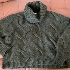 Madewell chunky green turtleneck.